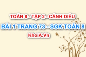 Bài 1 trang 73 Toán 8 Cánh Diều Tập 2